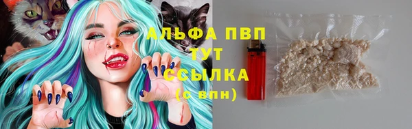PSILOCYBIN Богородицк