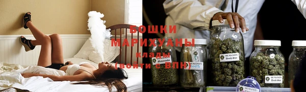 PSILOCYBIN Богородицк