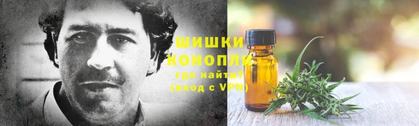 2c-b Богданович