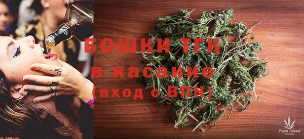 PSILOCYBIN Богородицк
