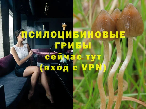 2c-b Богданович
