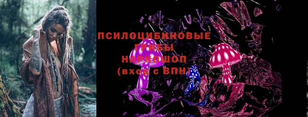 2c-b Богданович