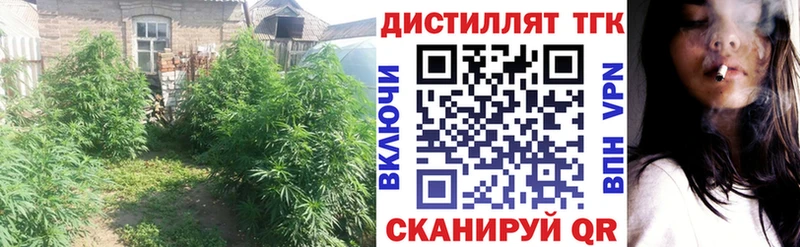 мега маркетплейс  где можно купить наркотик  Мосальск  Дистиллят ТГК концентрат 